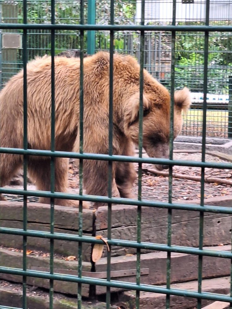 Fietsweekend 29/30 augustus 2026-15