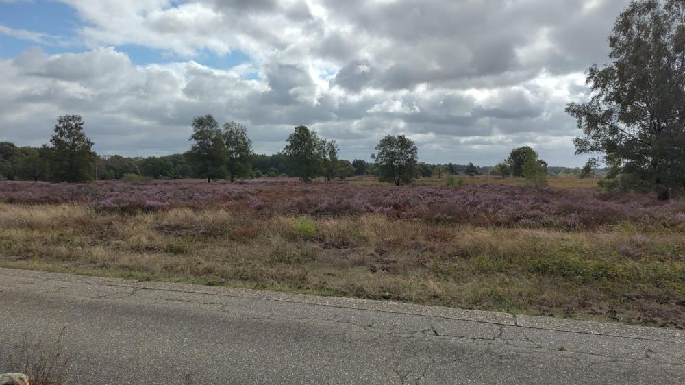 Fietsweekend 29/30 augustus 2026-24